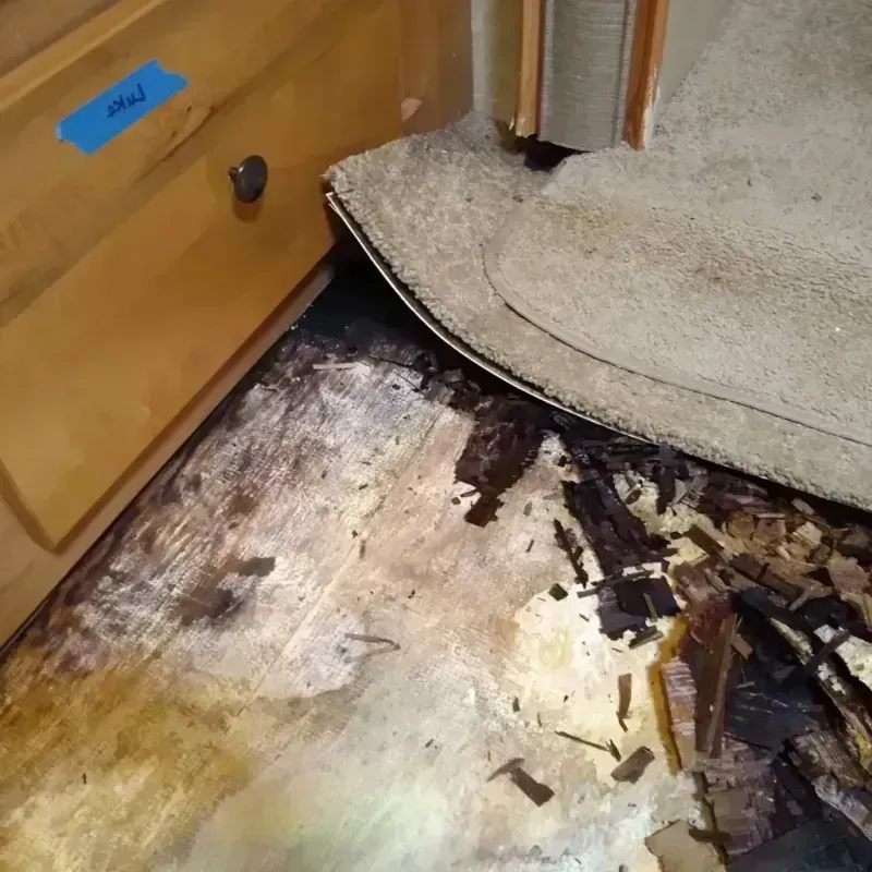 Wood Floor Water Damage in Golden Glades, FL